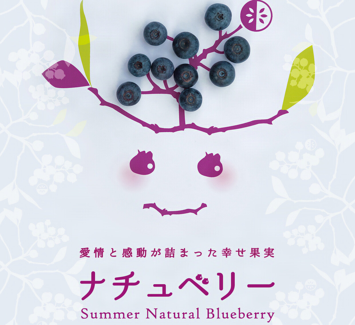 BONVIVANT Natural Farm ブルーベリーパッケージ