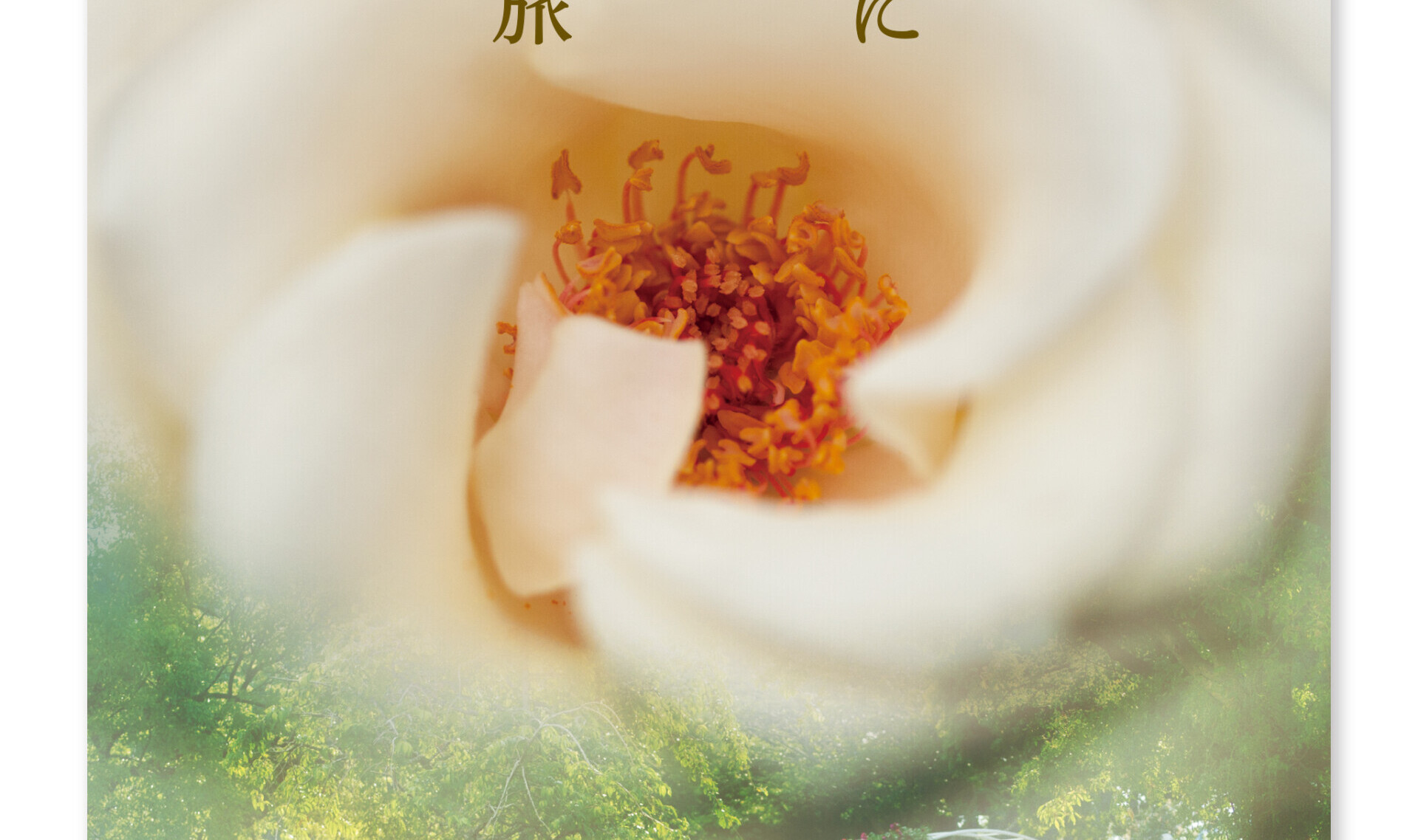 鹿屋市観光ポスターA1