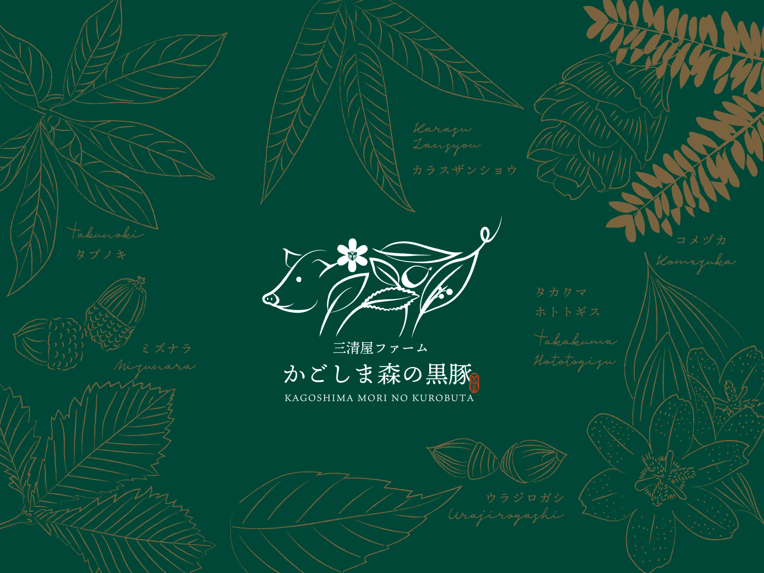 sansinya_blog1