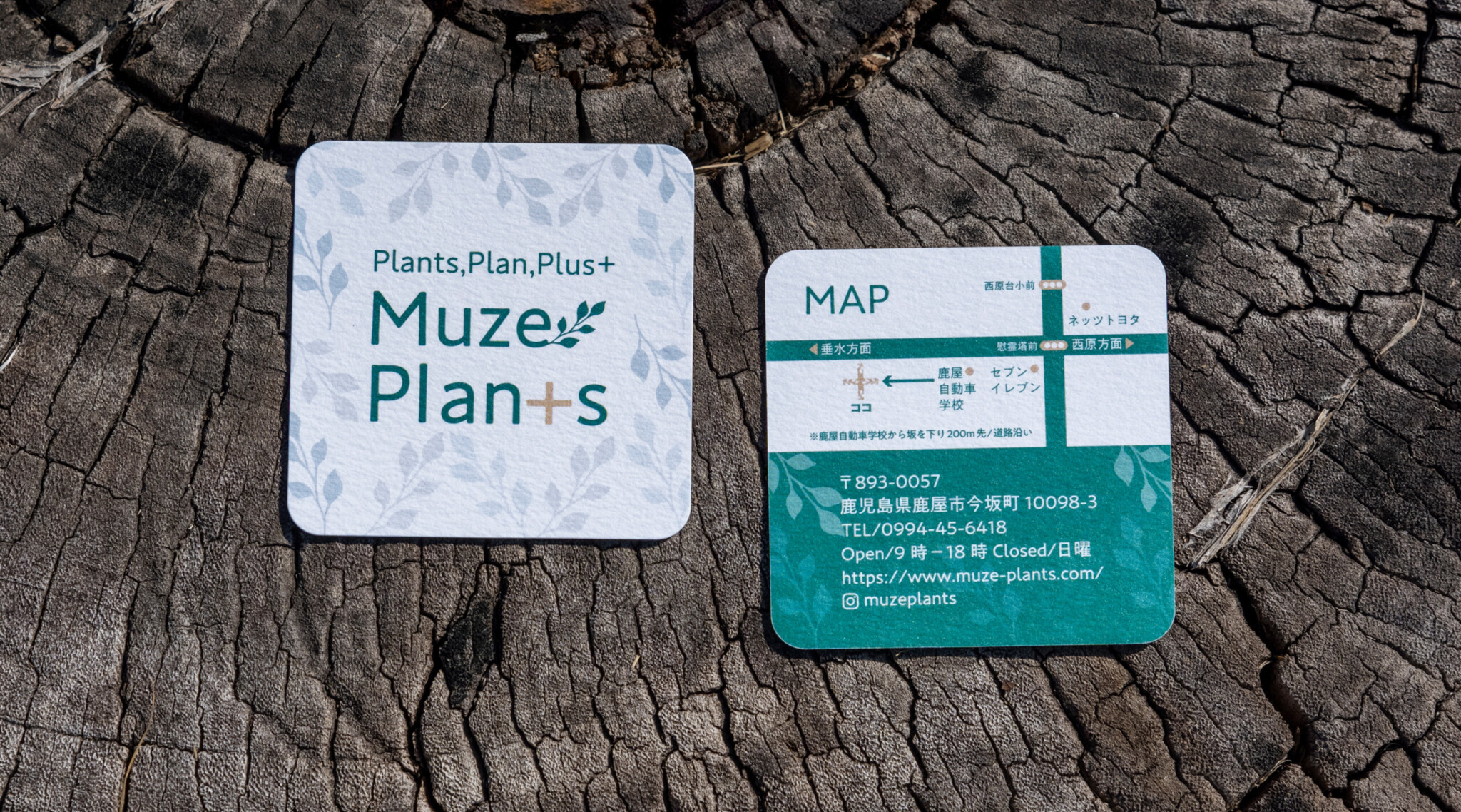 Muze Plants Shop Card